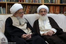 دیدار حضرت آیت الله العظمی نوری همدانی با حضرت آیت الله العظمی صافی گلپایگانی