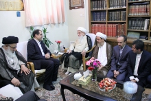  دیدار دکتر سید حسن قاضی زاده هاشمی، وزیر بهداشت، درمان و آموزش پزشکی با حضرت آیت الله العظمی صافی گلپایگانی