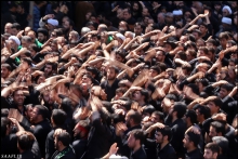 گزارش تصویری : تشرف عزاداران فاطمی در معیت حضرت آیت الله العظمی صافی گلپایگانی به حرم مطهر حضرت معصومه (س)