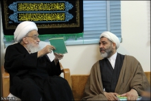 گزارش تصویری: دیدار اعضای کنگره بین‌المللی امام علی (ع)، با حضرت آیت‌الله العظمی صافی گلپایگانی