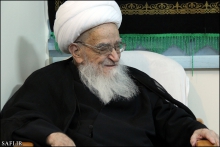 گزارش تصویری: دیدار اعضای کنگره بین‌المللی امام علی (ع)، با حضرت آیت‌الله العظمی صافی گلپایگانی