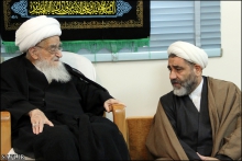 گزارش تصویری: دیدار اعضای کنگره بین‌المللی امام علی (ع)، با حضرت آیت‌الله العظمی صافی گلپایگانی