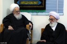 گزارش تصویری : دیدار هیئت امنای موکب حضرت معصومه (س) با حضرت آیت‌الله العظمی صافی گلپایگانی
