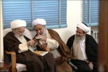 گزارش تصویری : دیدار اعضای ستاد هماهنگی فعالیت‌های مهدوی با حضرت آیت‌الله العظمی صافی گلپایگانی