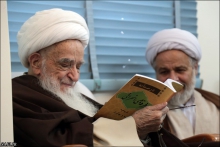 گزارش تصویری : دیدار اعضای ستاد هماهنگی فعالیت‌های مهدوی با حضرت آیت‌الله العظمی صافی گلپایگانی