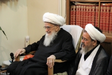 ديدار رياست، نماینده ولی فقیه و شورای معاونین جمعیت هلال احمر با حضرت آية الله العظمی صافی گلپايگانی