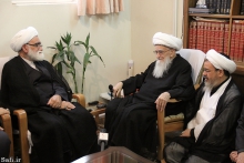 ديدار رياست، نماینده ولی فقیه و شورای معاونین جمعیت هلال احمر با حضرت آية الله العظمی صافی گلپايگانی