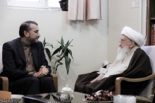 ديدار آقای دکتر امیر عبداللّهیان، معاون عربی و آفریقایی وزارت امور خارجه با حضرت آية الله العظمی صافی گلپايگانی