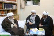 دیدار اعضای همایش علمی بین المللی حضرت حمزه علیه السلام با حضرت آیت الله العظمی صافی گلپایگانی 