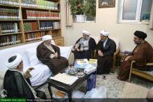 دیدار اعضای همایش علمی بین المللی حضرت حمزه علیه السلام با حضرت آیت الله العظمی صافی گلپایگانی 