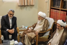 دیدار اعضای کمیسیون امنیت ملی و سیاست خارجی مجلس با مرجع عالیقدر حضرت آیت الله العظمی صافی گلپایگانی