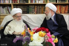گزارش تصویری : دیدار حجت‌الاسلام و المسلمین ری شهری با حضرت آیت‌الله العظمی صافی گلپایگانی