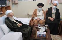 دیدار اعضای شورای عالی حوزه‌های علمیه با حضرت آیت الله العظمی صافی گلپایگانی