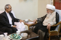 دیدار آقای دکتر محمد نهاوندیان، رییس دفتر ریاست جمهوری با حضرت آیت الله العظمی صافی گلپایگانی