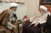 دیدار آیت الله صالحی مدرس با حضرت آیت الله العظمی صافی گلپایگانی