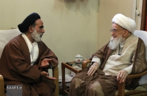 دیدار ریاست مرکز خدمات حوزه‌های علمیه با مرجع عالیقدر حضرت آیت الله العظمی صافی گلپایگانی