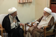 دیدار حجت‌الاسلام محمدسعید مهدوی کنی فرزند آیت الله مهدوی کنی (ره) با مرجع عالیقدر حضرت آیت‌الله العظمی صافی گلپایگانی